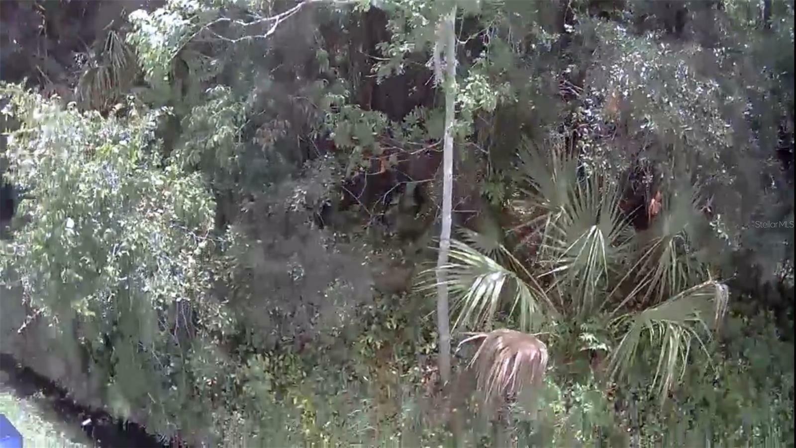Property Photo: 2737 10th Street FL 32820