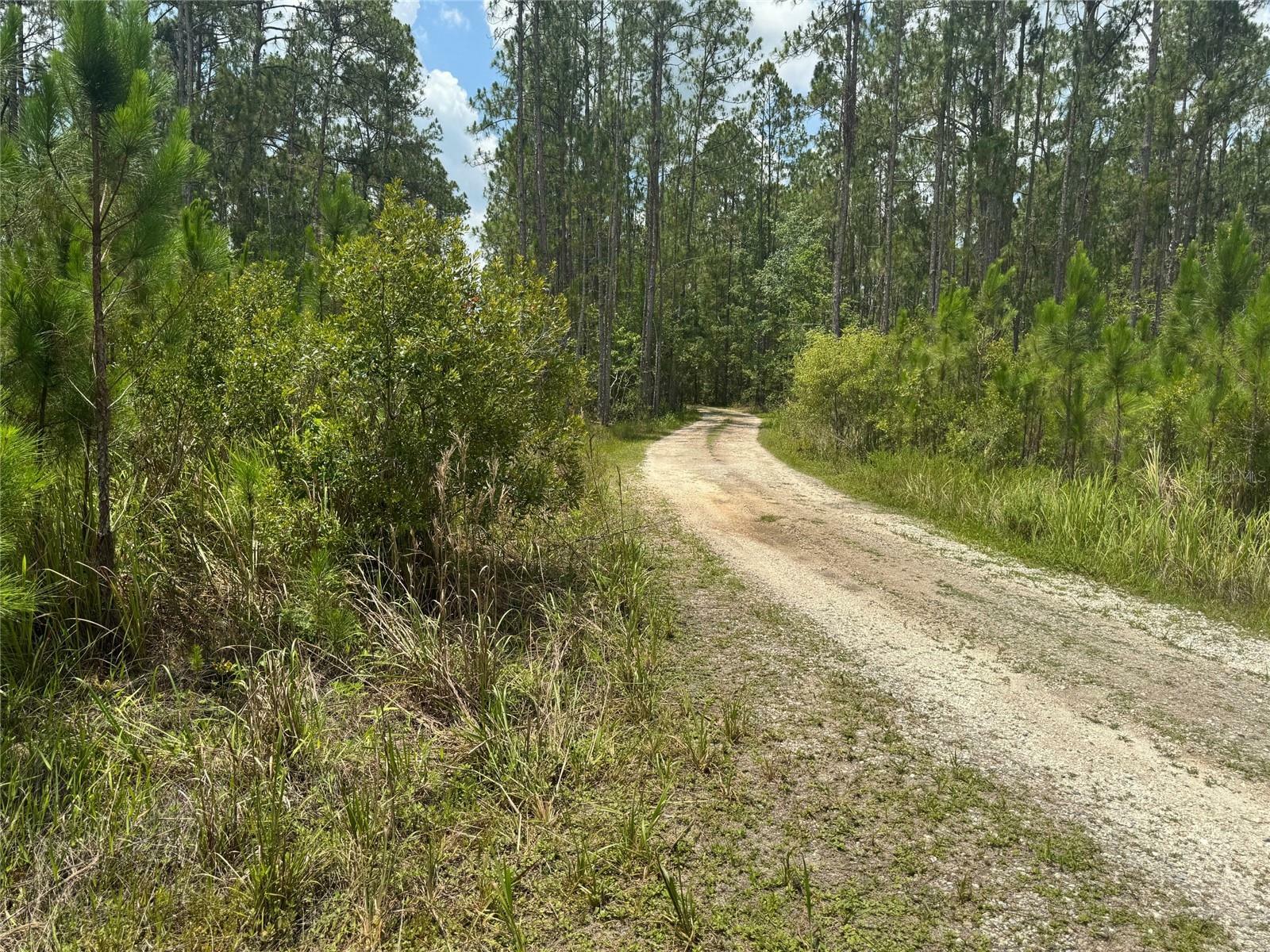 Property Photo: Havana Road FL 34714