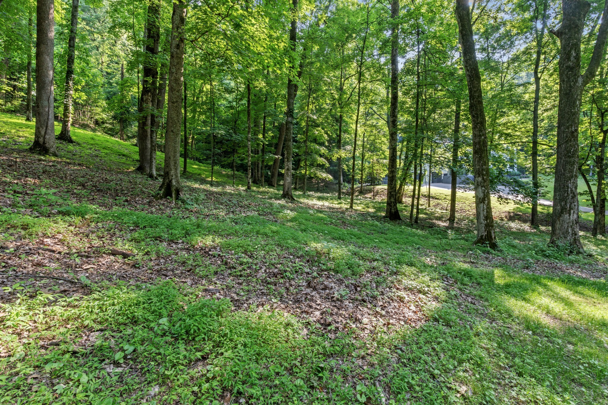 Property Photo: 35 Annandale TN 37215