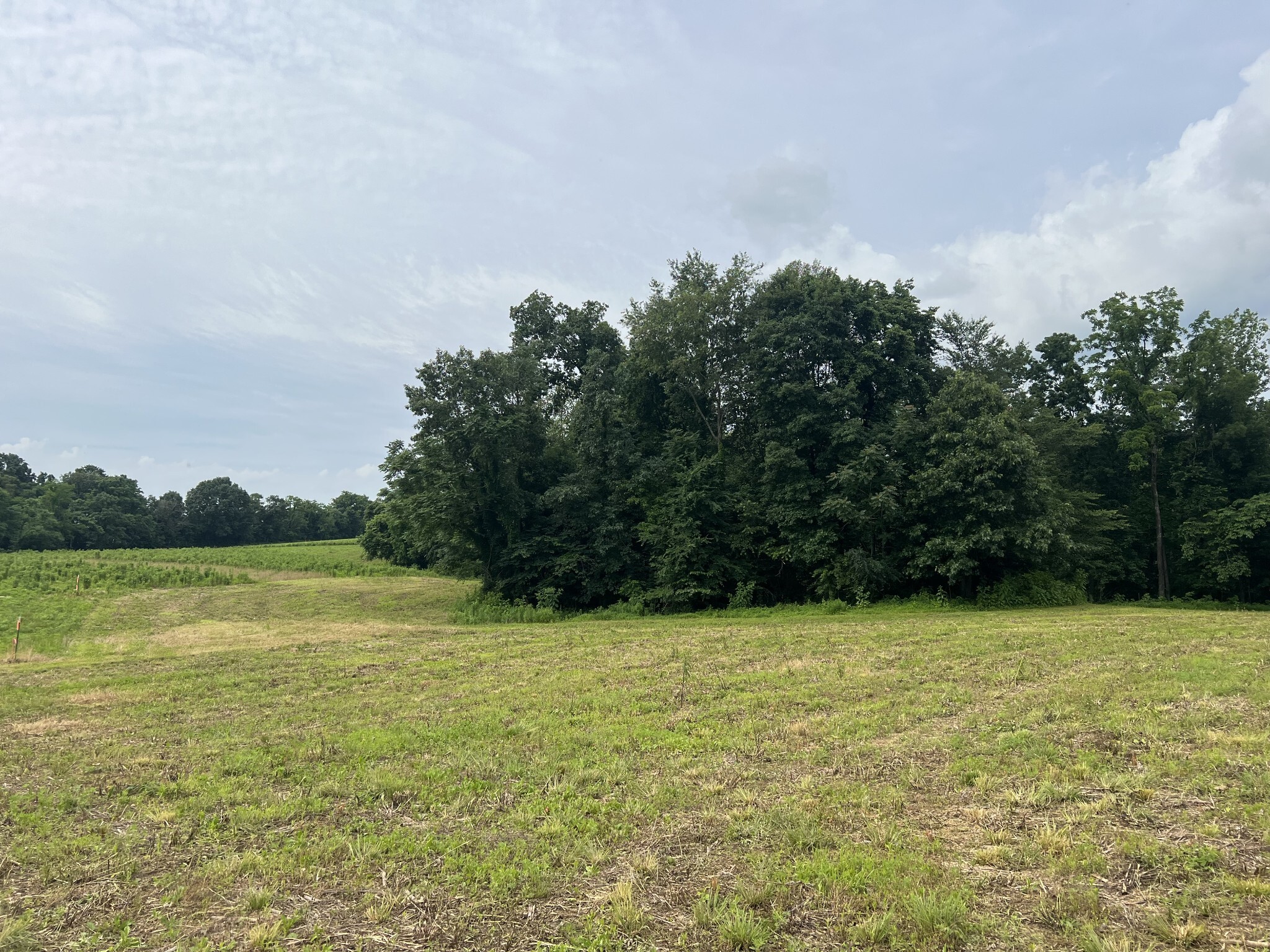Property Photo:  19 Annie Hollow Rd  TN 37186 