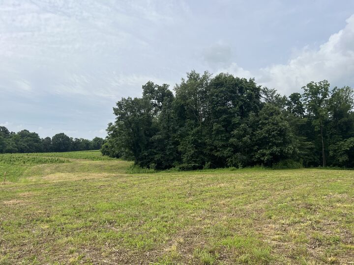 Property Photo:  19 Annie Hollow Rd  TN 37186 