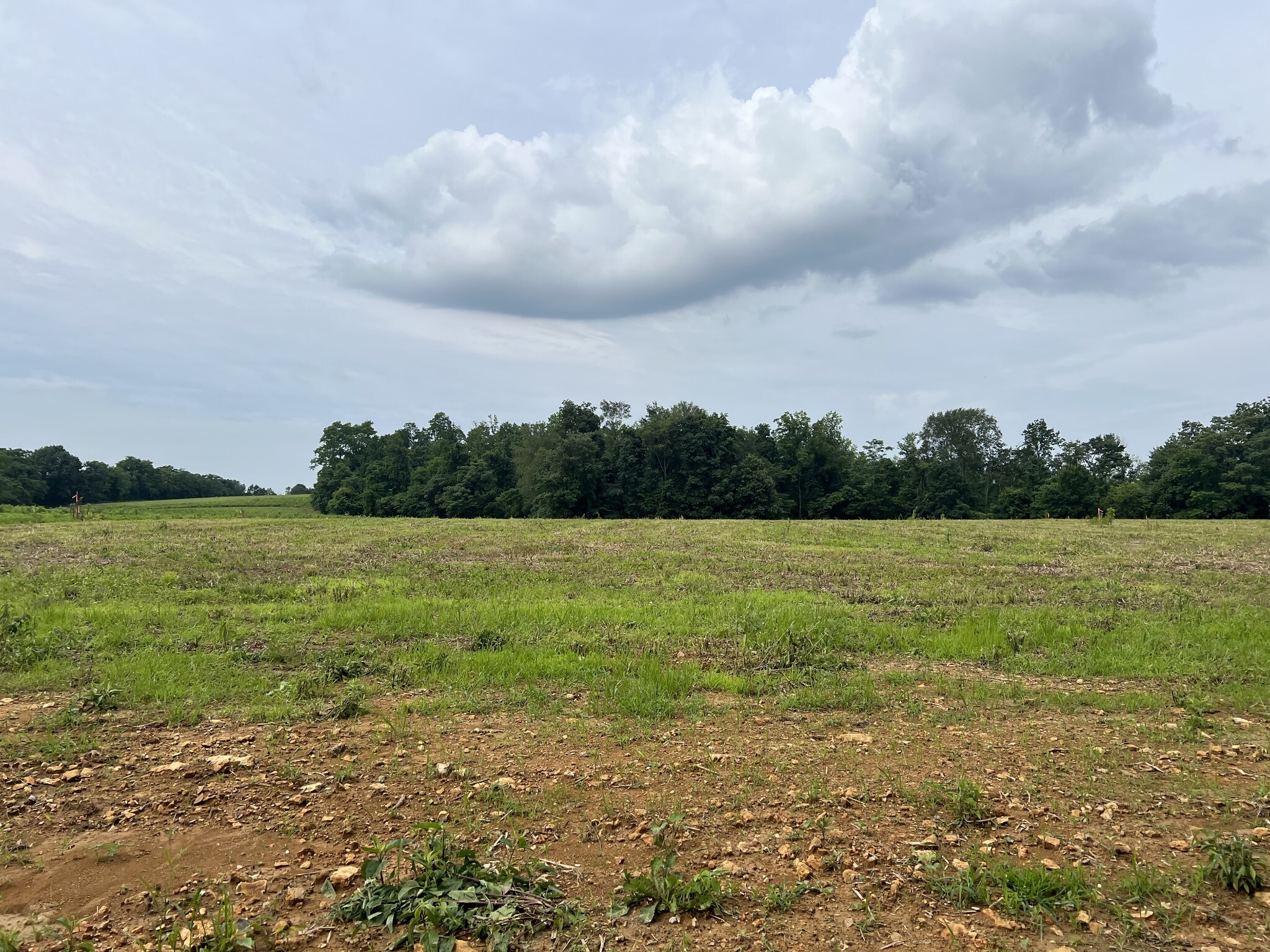 Property Photo:  18 Annie Hollow Rd  TN 37186 
