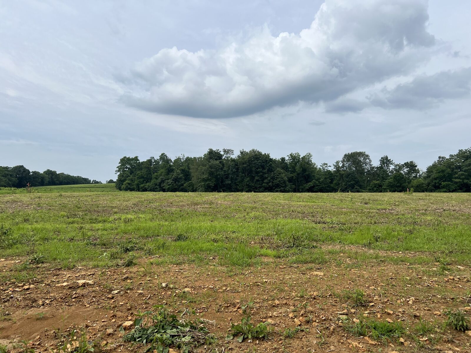 Property Photo:  18 Annie Hollow Rd  TN 37186 