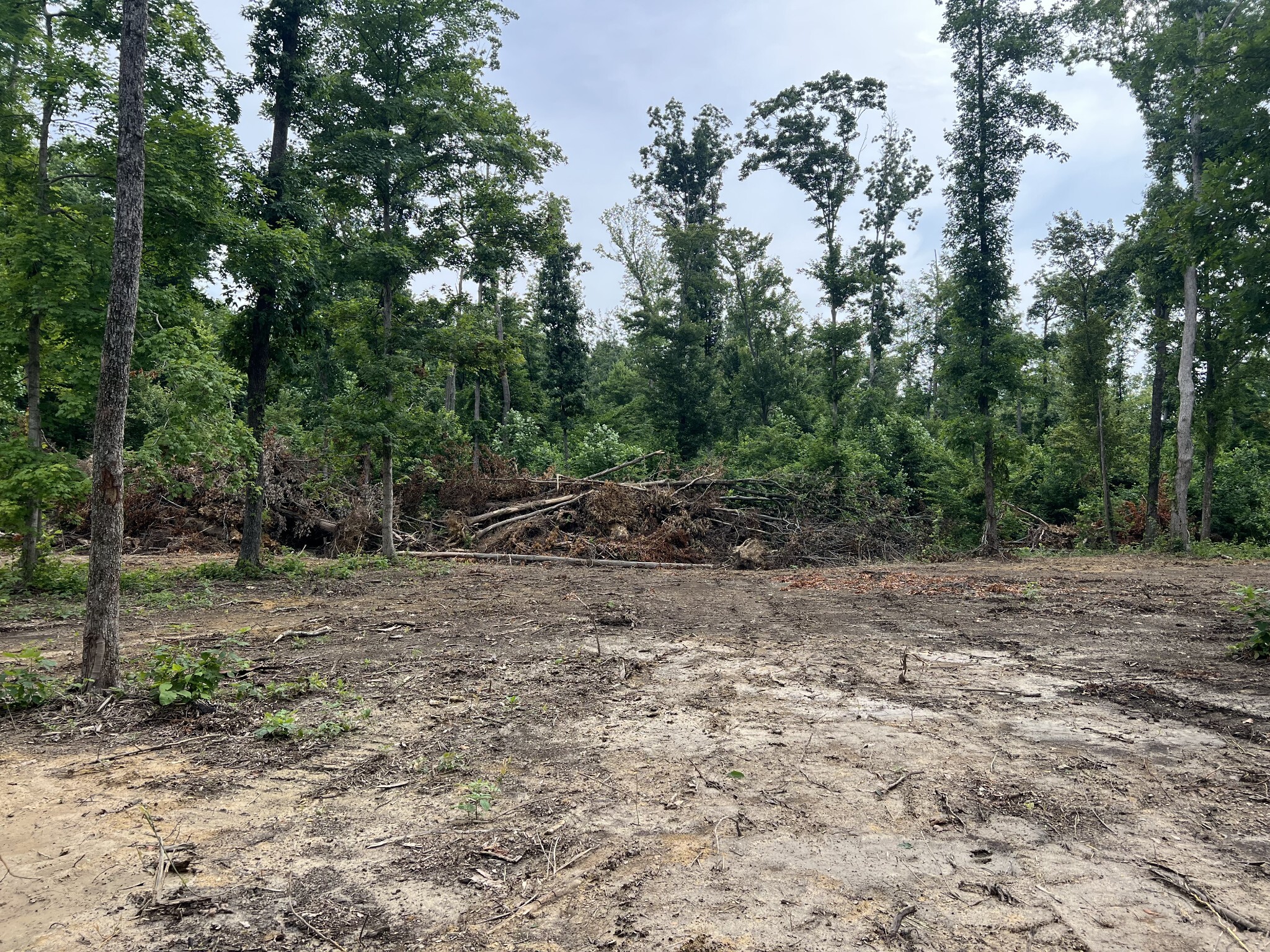 Property Photo:  28 Annie Hollow Rd  TN 37186 