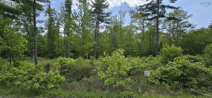 Property Photo:  Lot 24-5 East Clifford Road  NS B4V 7R8 