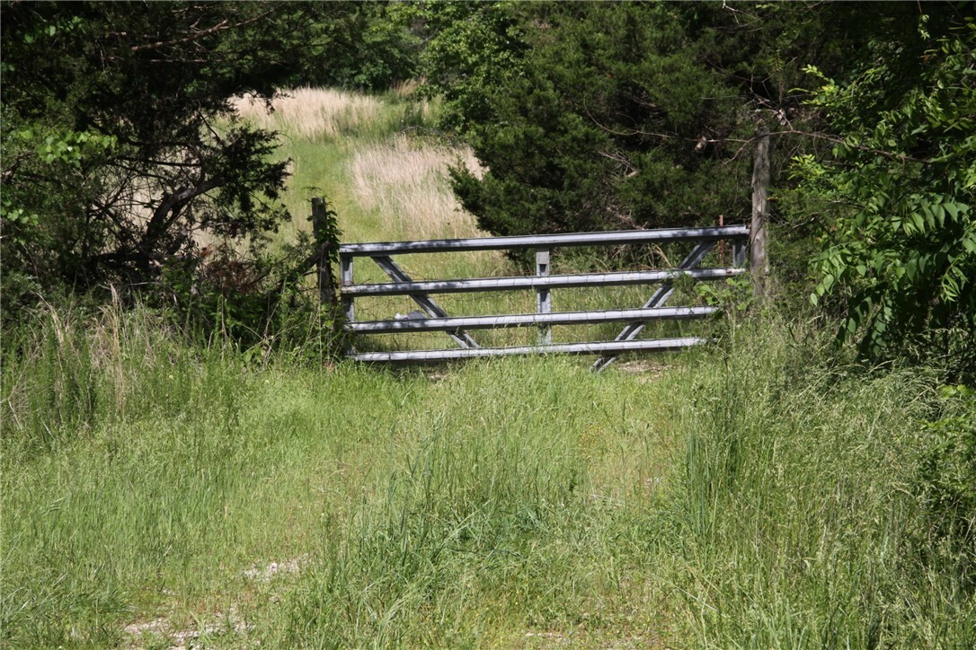 4901 County Road 263  Mount Judea AR 72655 photo
