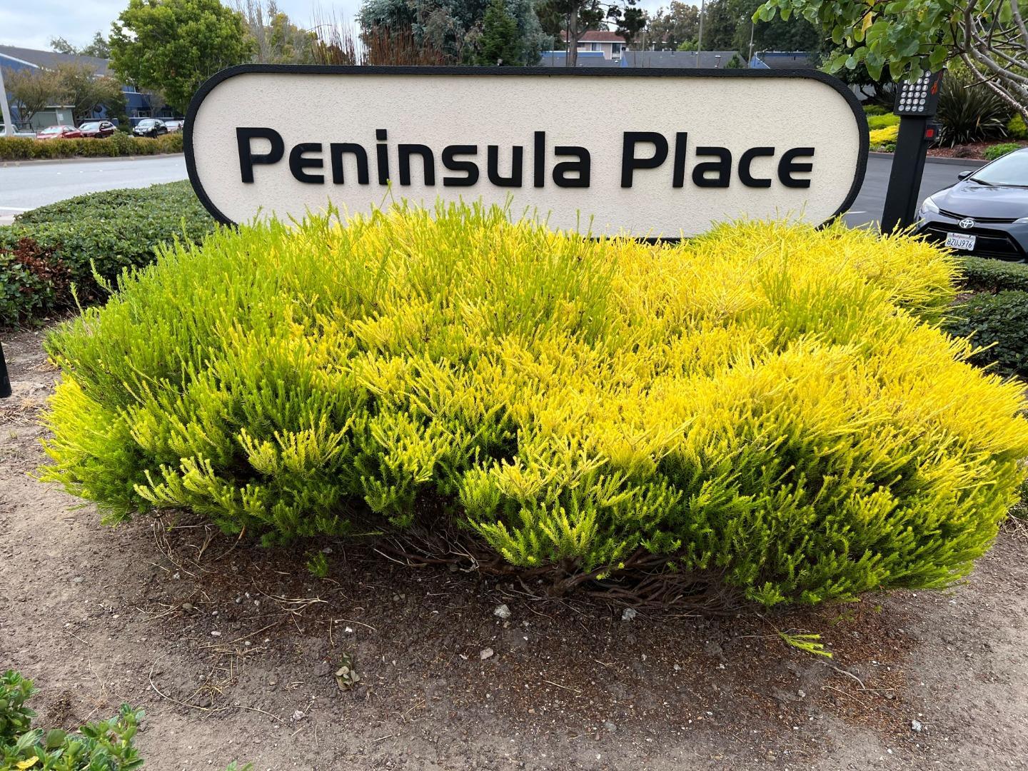 Property Photo:  403 Piccadilly Place 22  CA 94066 