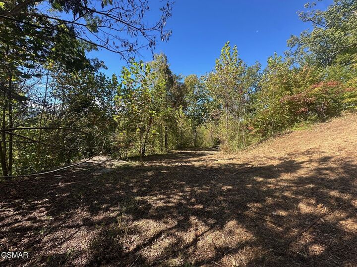 Property Photo: 361 Oakwood Drive TN 37876