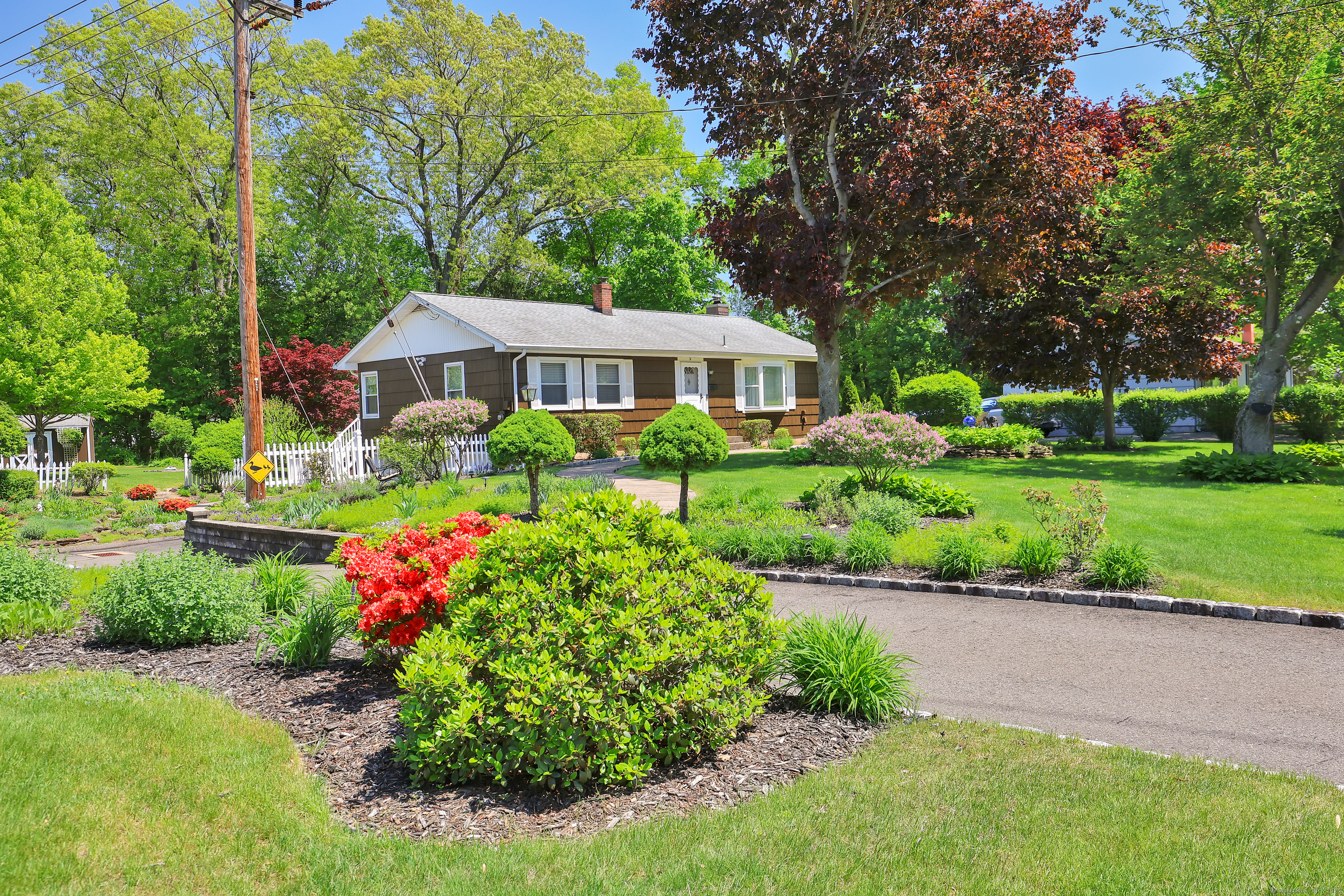 Property Photo:  31 Hemlock Drive  CT 06489 