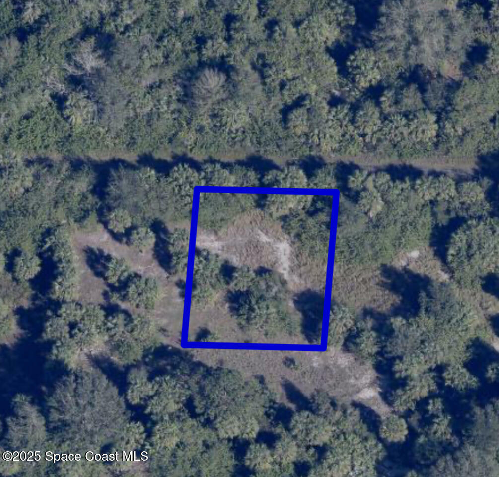 Property Photo: 718 Burgess Street FL 32908