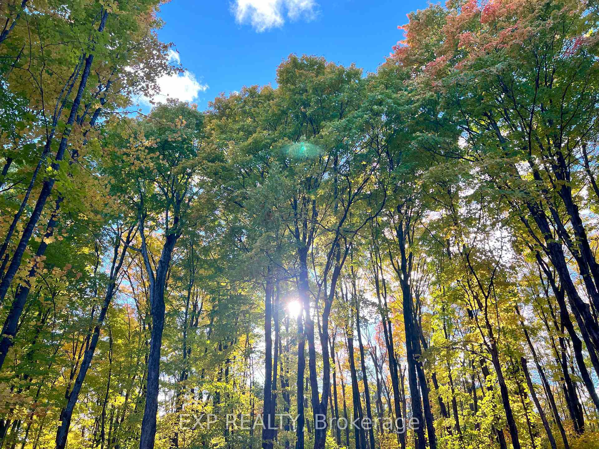 Property Photo: 3191 Mountainview Road ON K0J 2A0