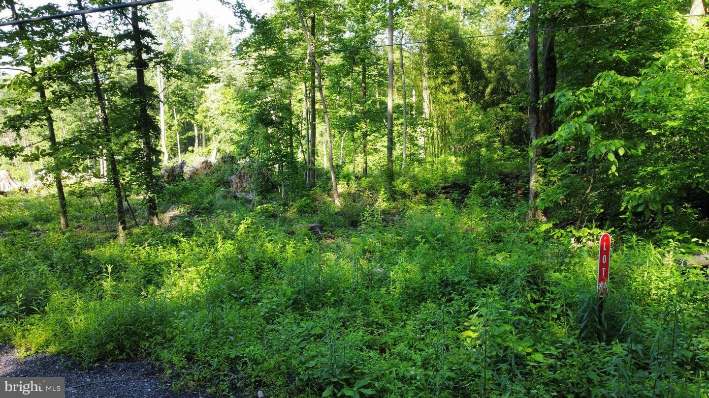 Property Photo: 6 Sportsman Road PA 17025