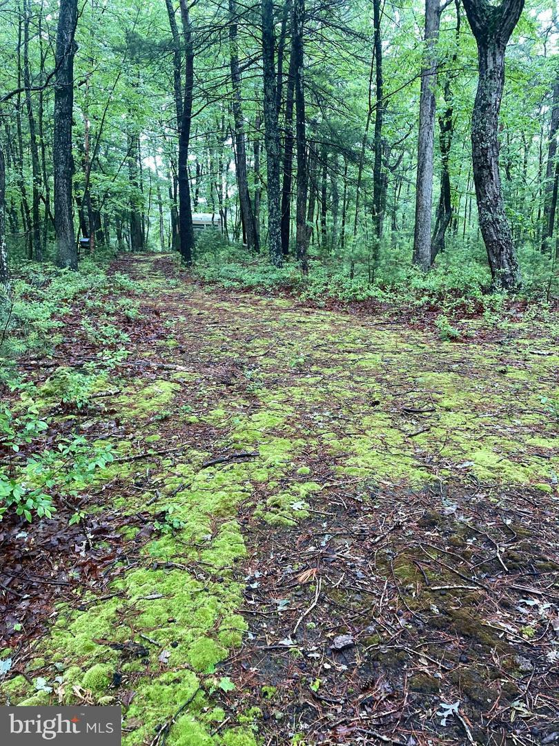 Property Photo: Lot 4 Highland Drive WV 26808