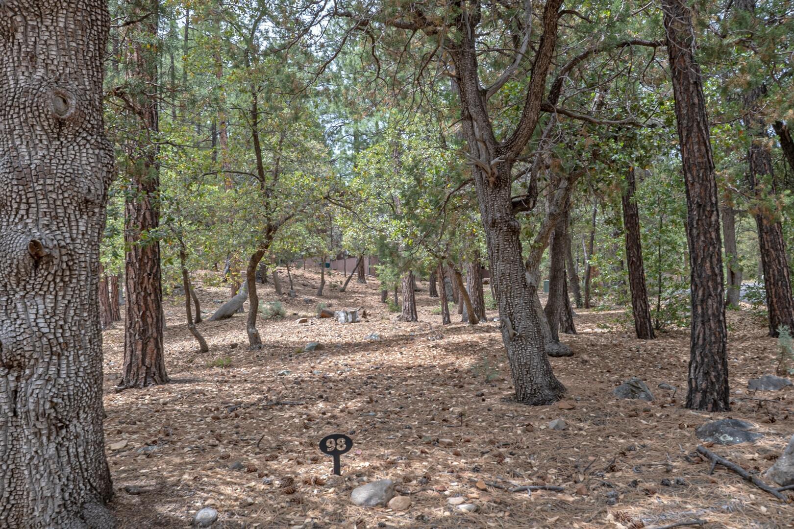 Property Photo: 98 Trails End AZ 85544