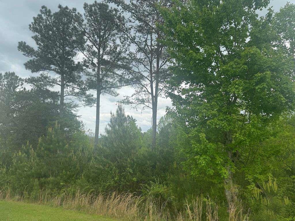 Property Photo: L231 Ridge Point Way GA 30512