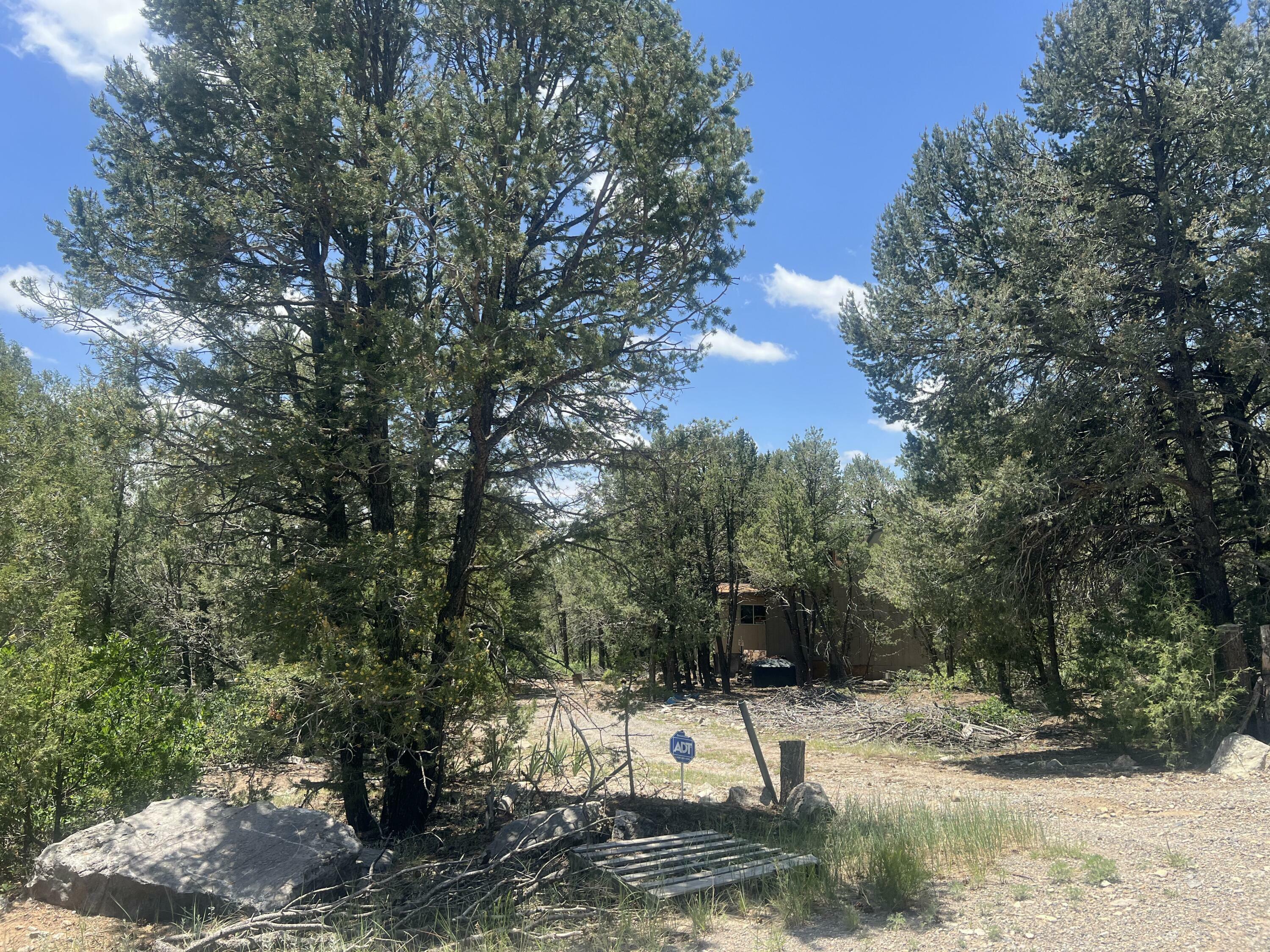 Property Photo: 17 Michelle Court NM 87015