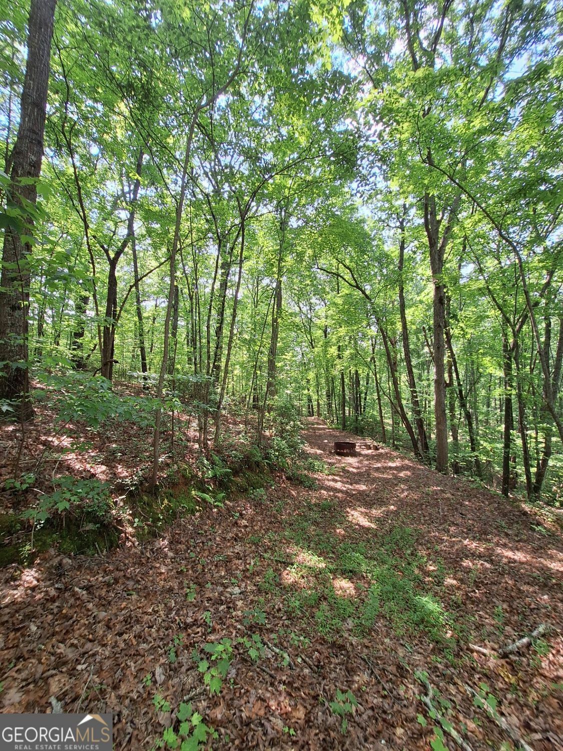 Property Photo: 0 Sun Rock Mountain Trace GA 30513