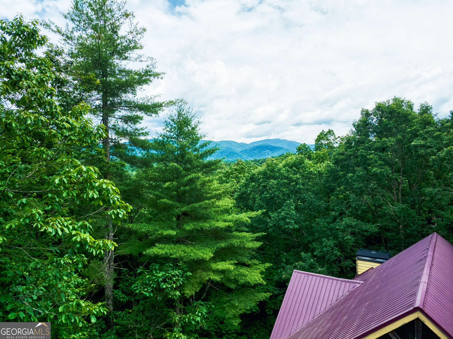 Property Photo: 73 Brentwood Court Court GA 30571