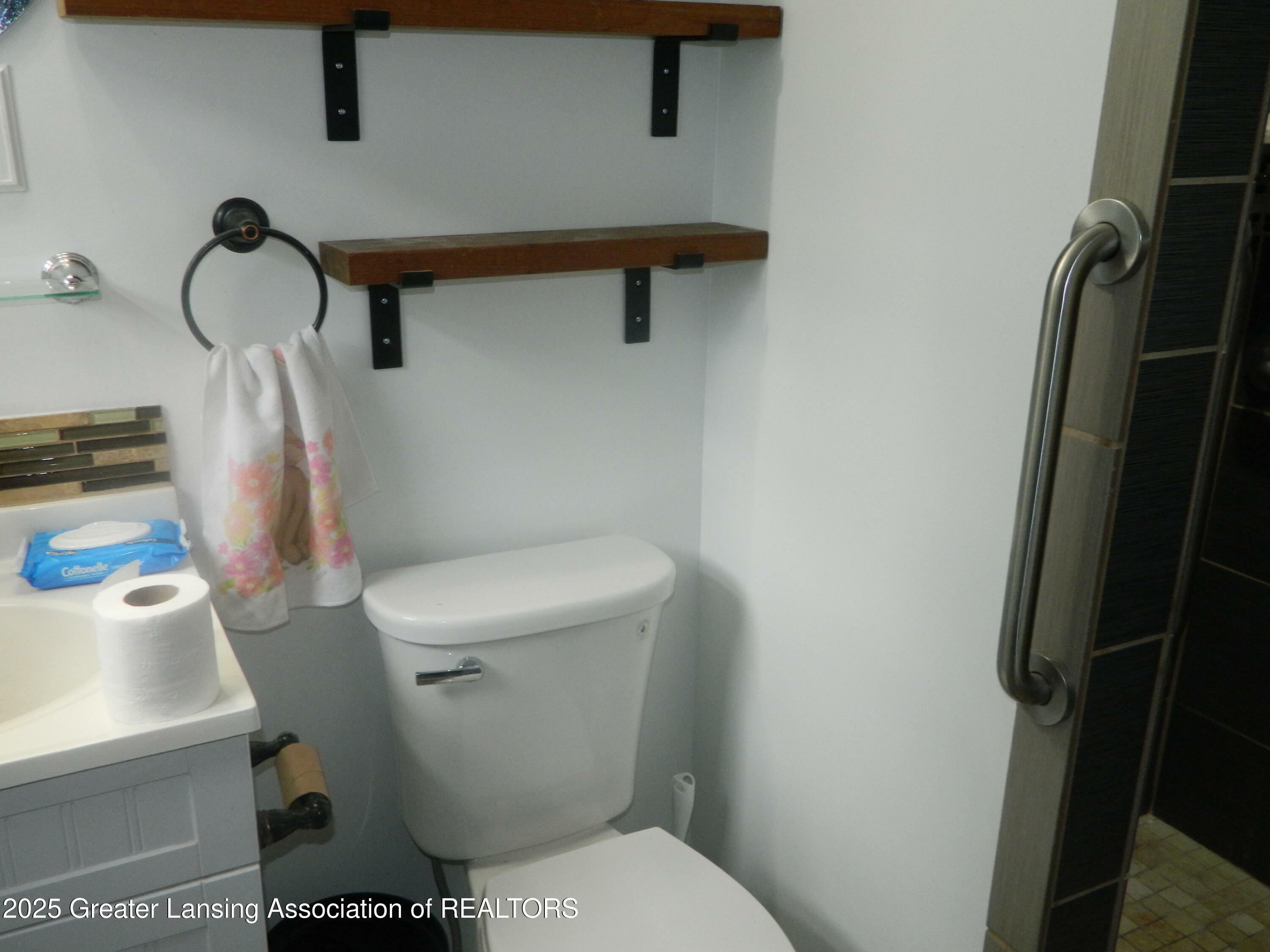 Property Photo: 161 Okemos Road MI 48854