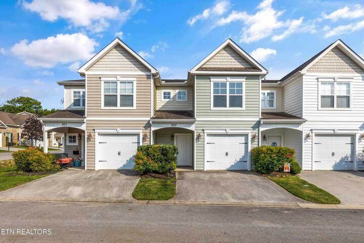 Property Photo:  203 Bar Tall Way  TN 37865 