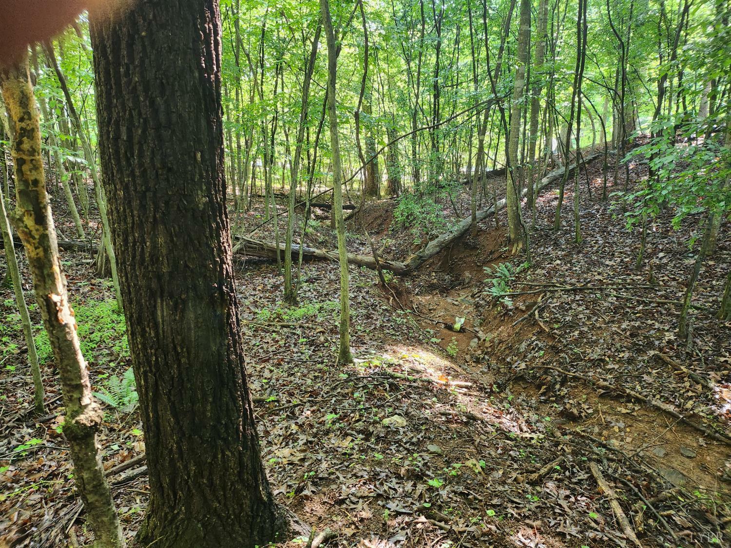 Property Photo: