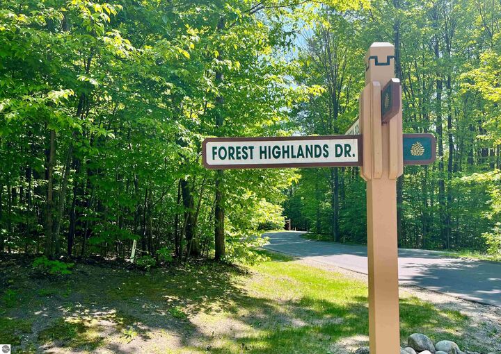Property Photo:  166 Forest Highlands Lot 166  MI 49615 