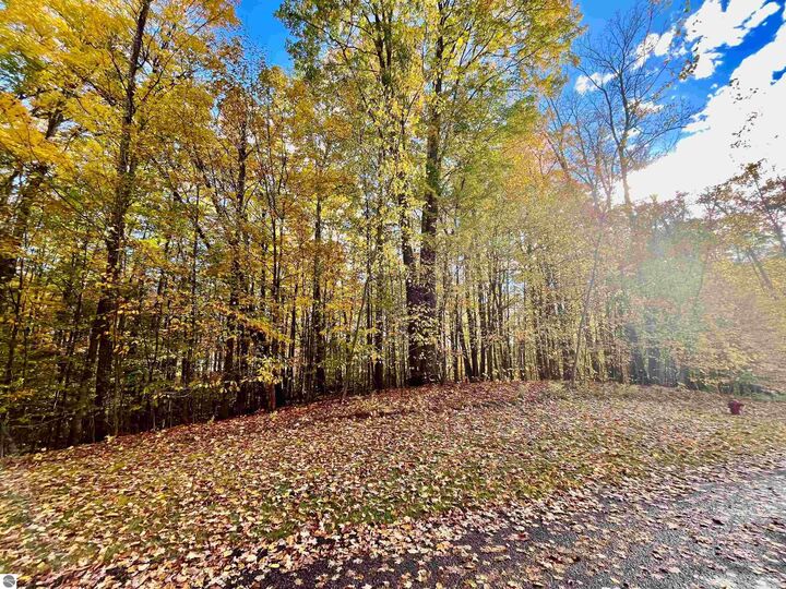 Property Photo:  166 Forest Highlands  MI 49615