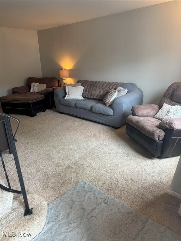 Property Photo: 110 Gaslight Lane OH 44124