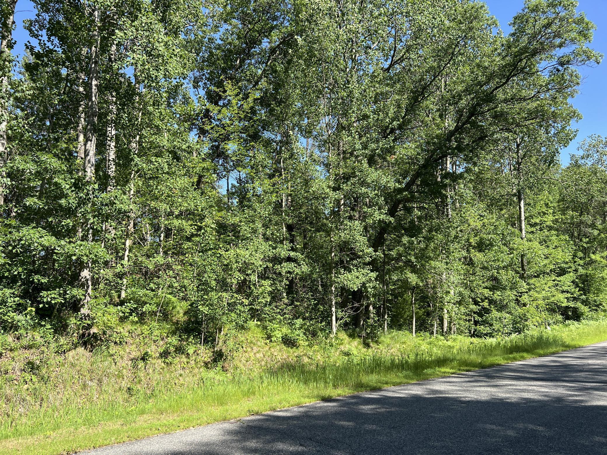 Property Photo:  Lot 8 Terminal Road  MN 56472 