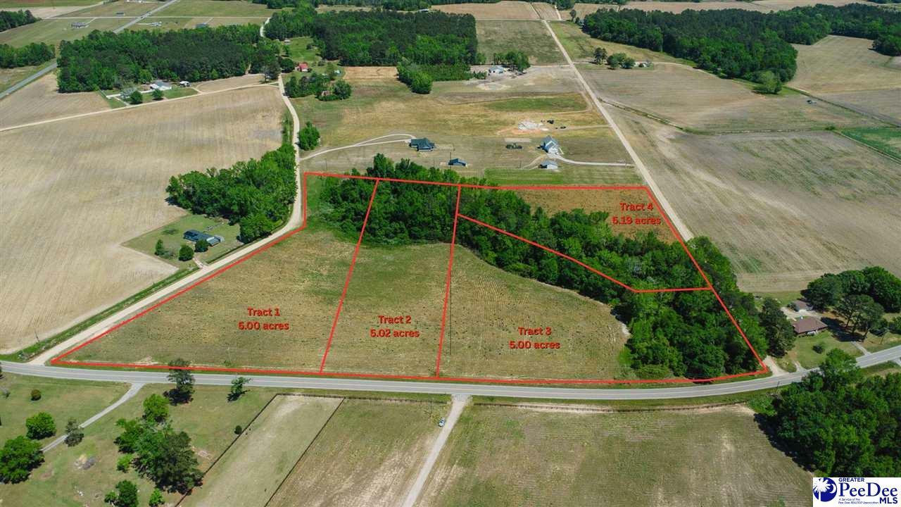 Property Photo: Tbd Hoffmeyer Road Lot 1 SC 29532