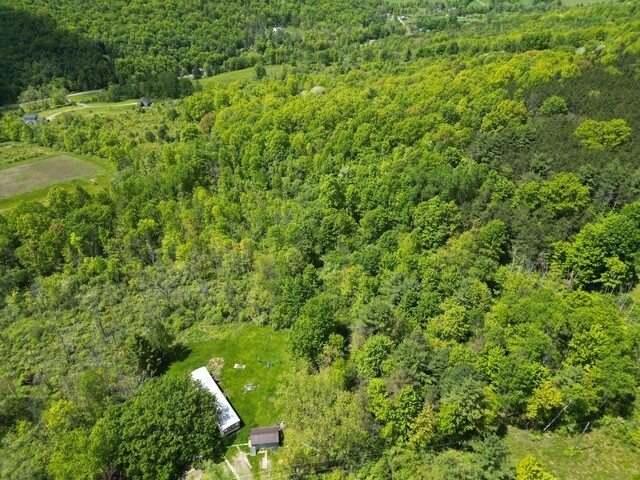Property Photo: 262 West Hill Road NY 14892