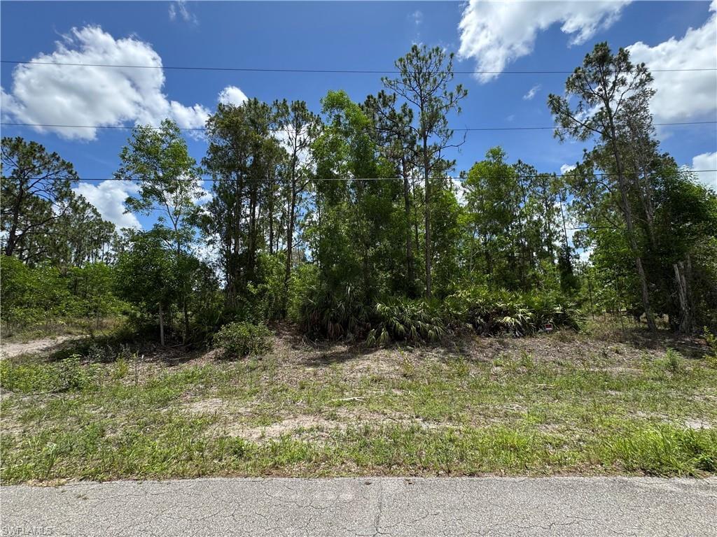 Property Photo:  454 Jaipur Dr  FL 33974 
