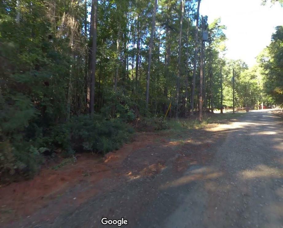 Property Photo:  Blk 14 Lot 05 Quince Court  GA 31831 