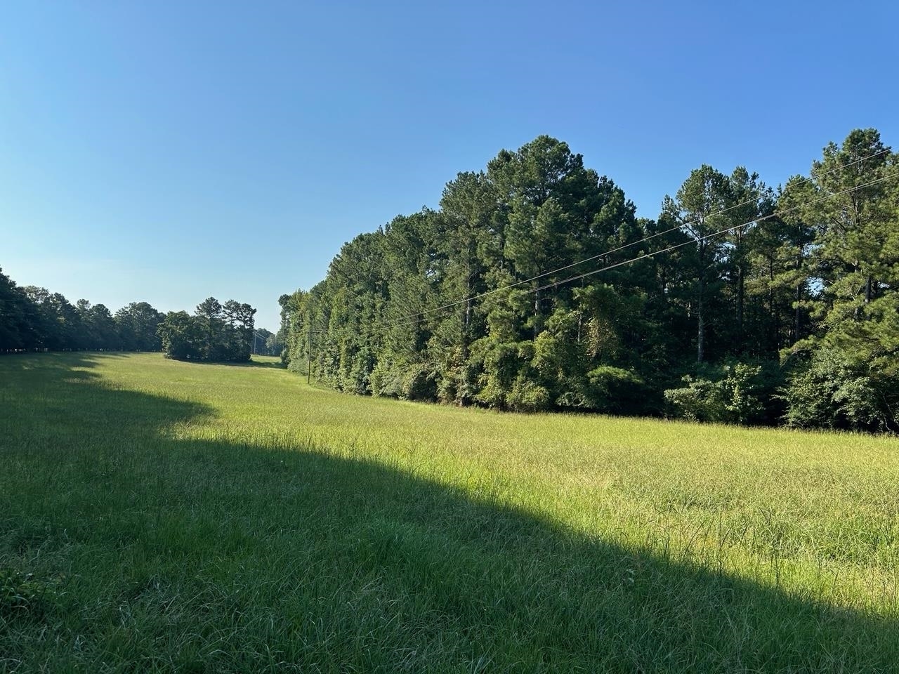 Property Photo: 1661 Walker Church Road GA 30642-000