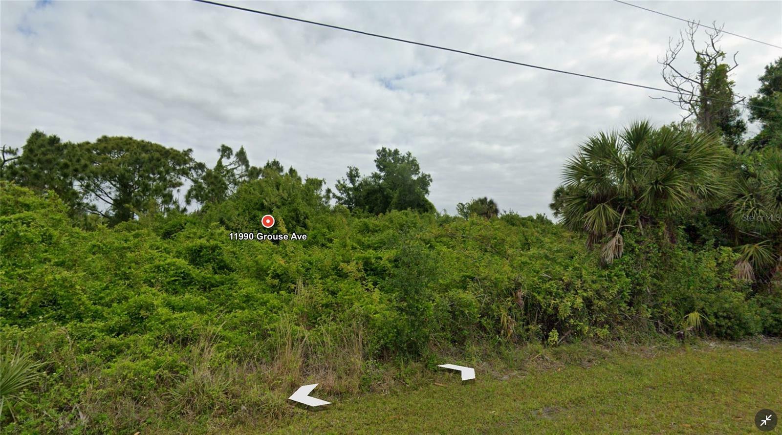 Property Photo: 11990 And 11998 Grouse Avenue FL 33981