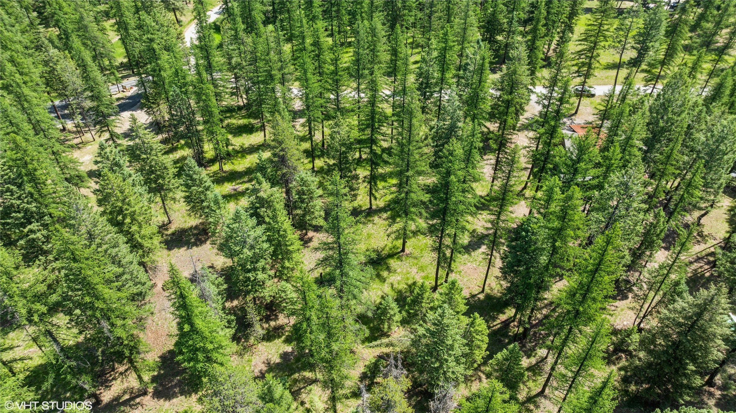 Property Photo:  337 Forest Loop  MT 59917 