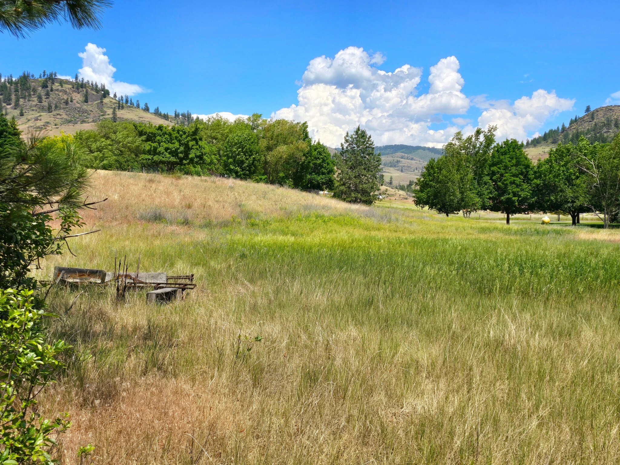 Property Photo: Lot 9 Riverview Terrace MT 59859