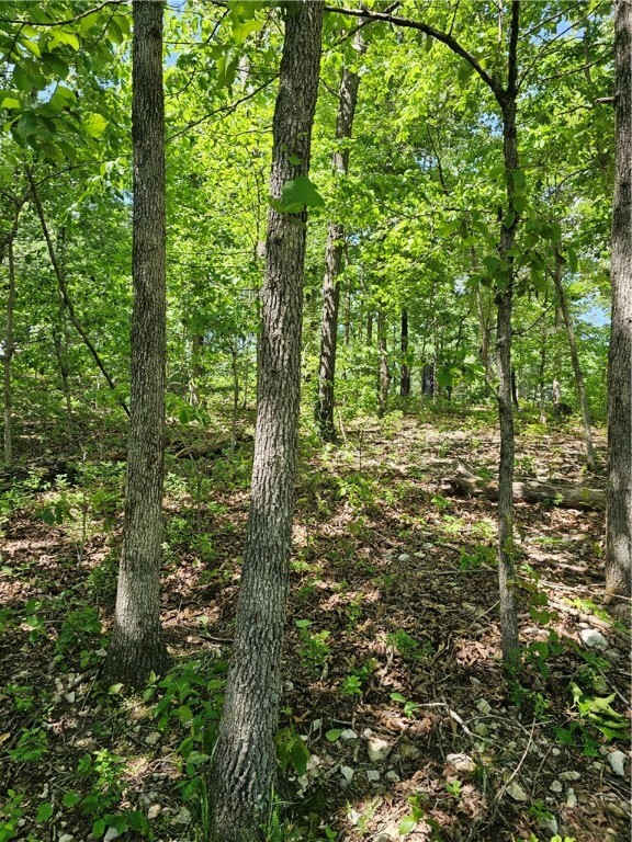 Property Photo: Tbd Kenninghall Lane AR 72715