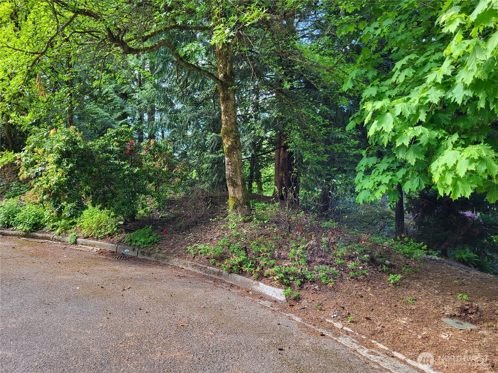 Property Photo: 6308 NE 151st Street WA 98028