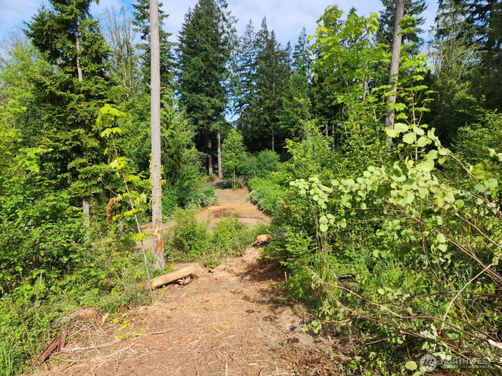 112  Tillicum Road  Chehalis WA 98532 photo