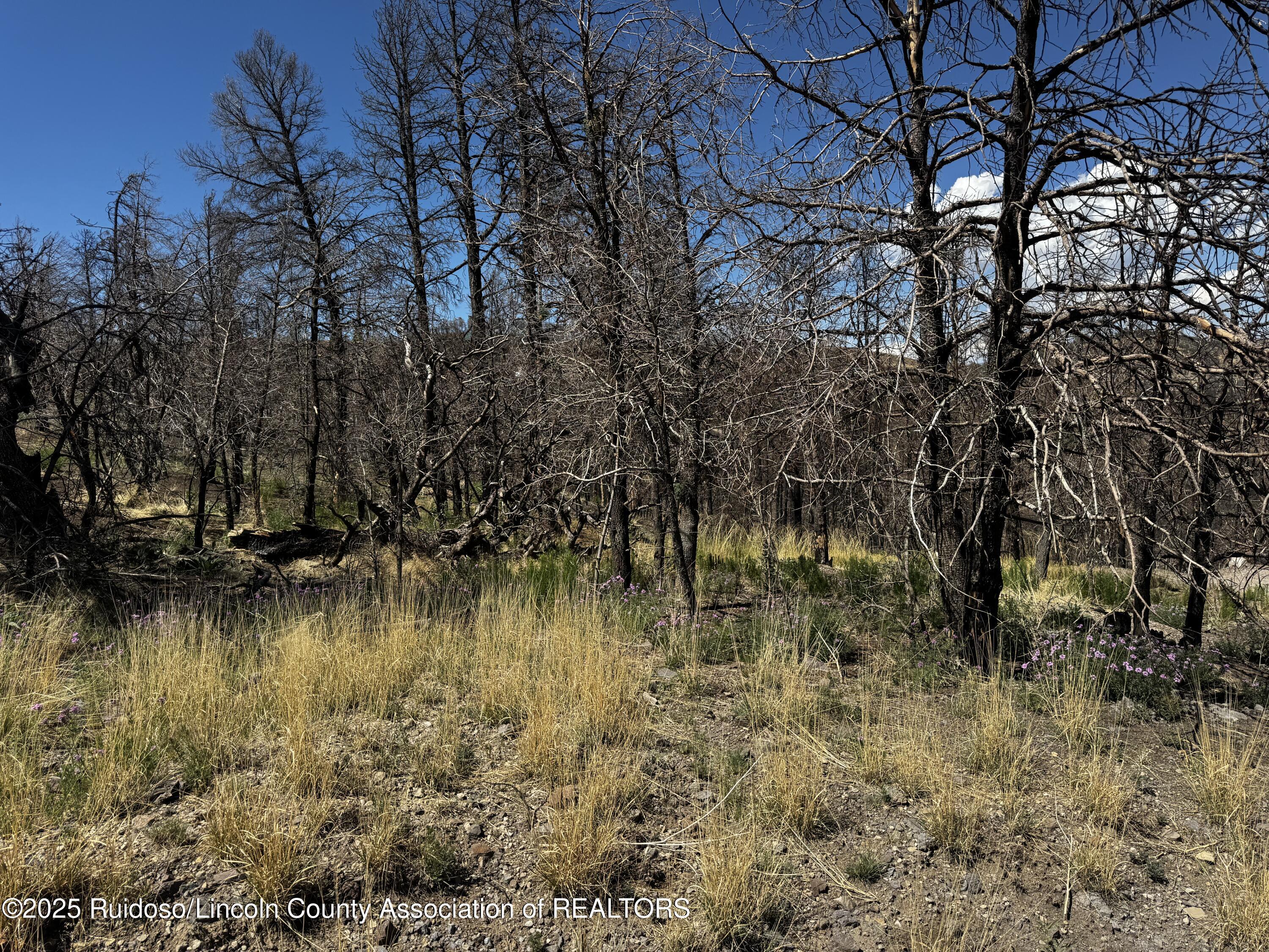 Property Photo:  140 Telluride Trail  NM 88345 
