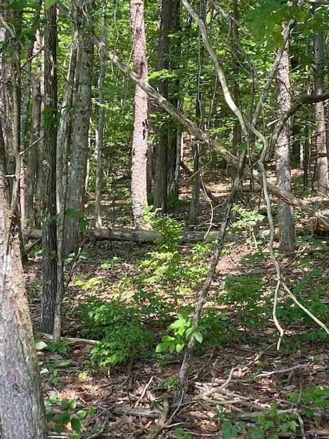 Property Photo: 00000 Brayton Mountain Rd TN 37338