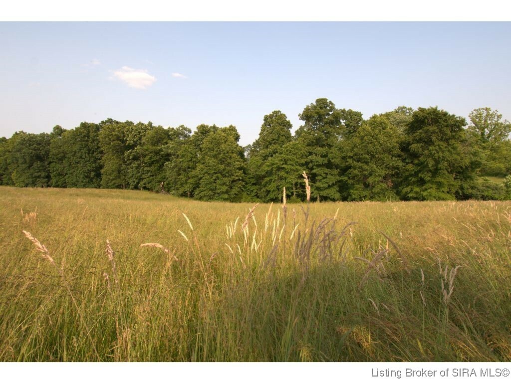 Property Photo: E County Road 775 S IN 47125