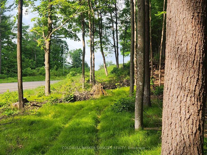 Property Photo:  1680 Calabogie Road  ON K0A 1G0 