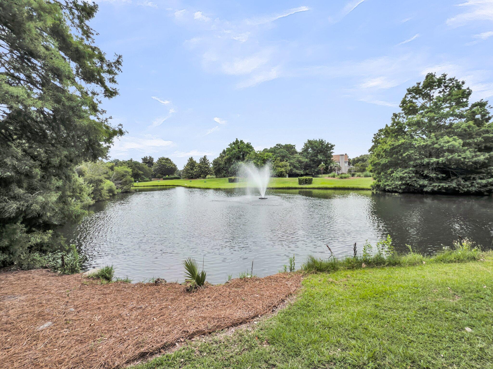 Property Photo: 701 Hibbens Grant Boulevard SC 29464