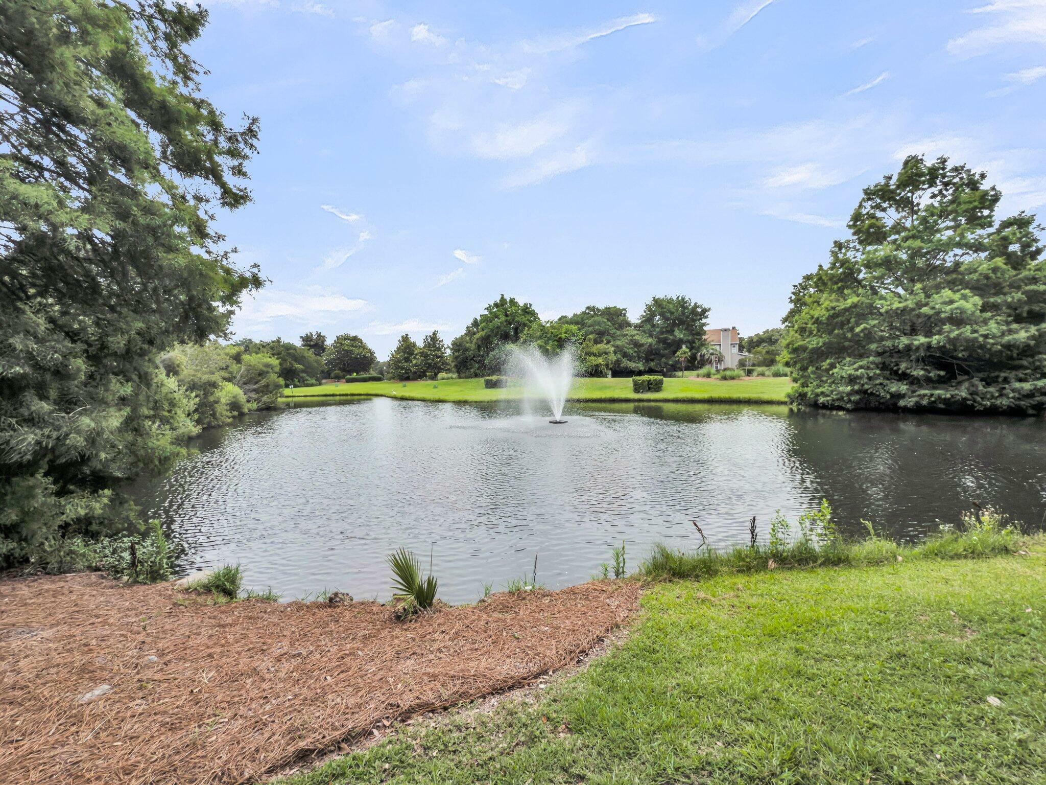 Property Photo: 701 Hibbens Grant Boulevard SC 29464