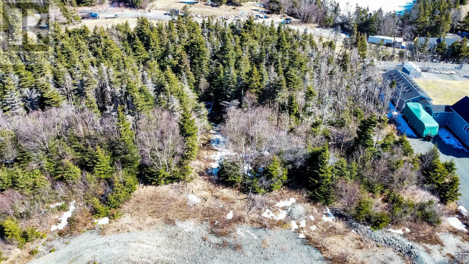 Property Photo:  46-54 Peters Place  NL A1K 1G3 