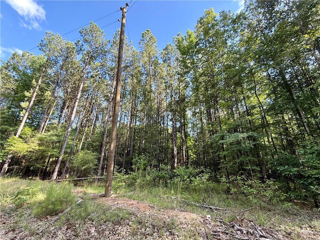 Property Photo: 0 Hwy 771 Highway LA 71465