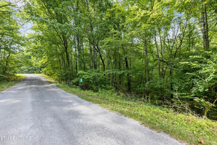 Property Photo:  3029 Nocatee Trace  TN 38572 