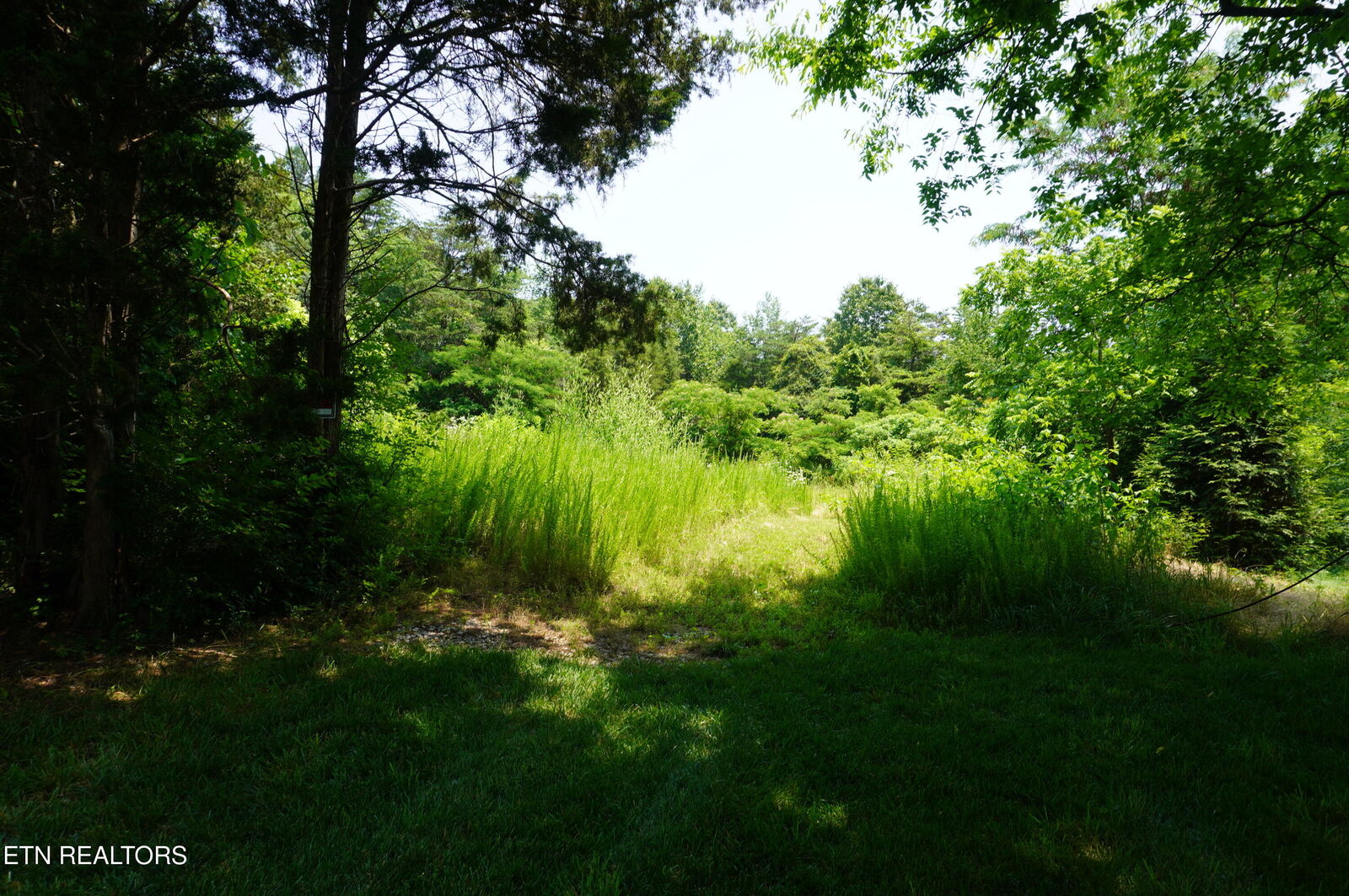 Property Photo: Par 015.04 Raindrop TN 37760